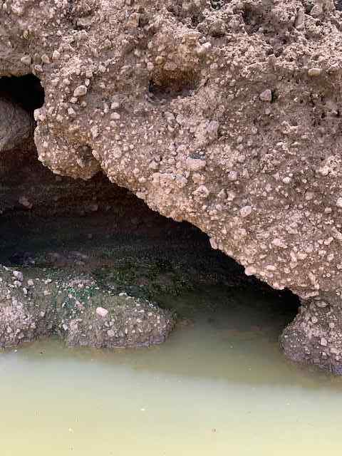 cliff2.jpg.edf5ba572e02e8d744d590c76244551a.jpg