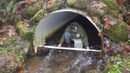 culvert.jpg.8b6024393ecfda00fc6910af434e0095.jpg