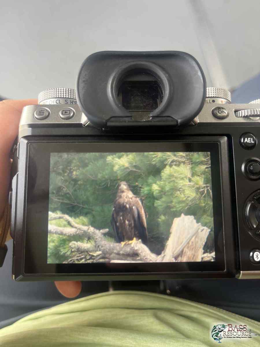 large.IMG_7549.jpeg
