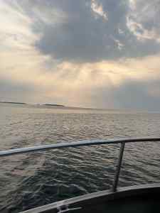 IMG_7349.jpeg