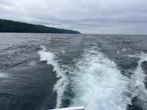 IMG_7354.jpeg