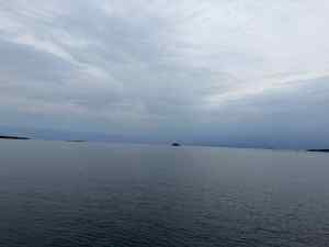 IMG_7405.jpeg