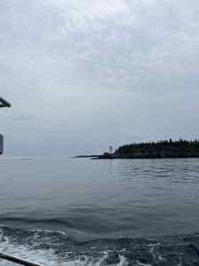 IMG_7408.jpeg