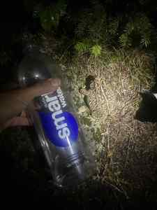IMG_7423.jpeg