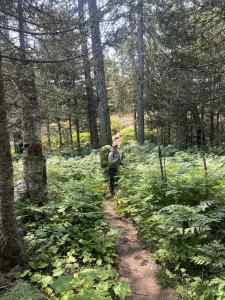 IMG_7433.jpeg