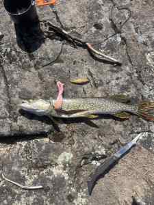 IMG_7458.jpeg