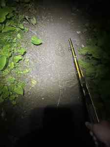 IMG_7465.jpeg