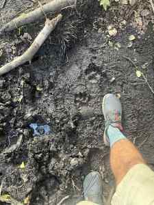 IMG_7476.jpeg