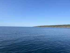IMG_7480.jpeg