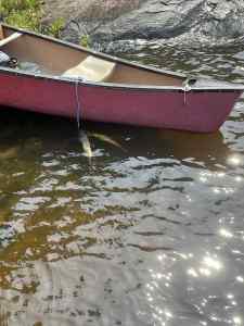 IMG_7521.jpeg