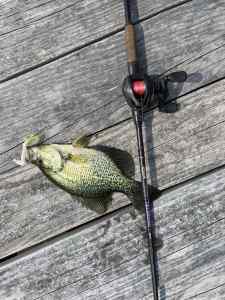 IMG_7522.jpeg