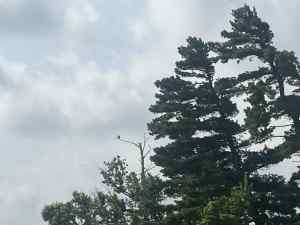 IMG_7536.jpeg
