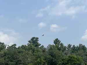 IMG_7545.jpeg