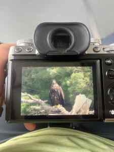 IMG_7549.jpeg