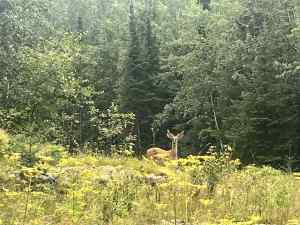IMG_7560.jpeg