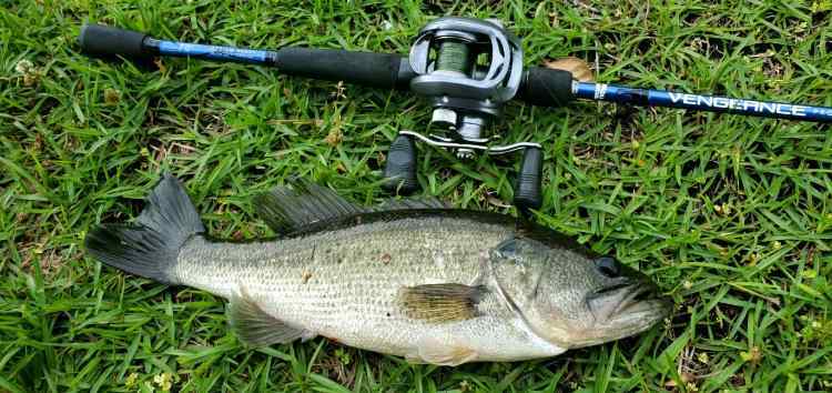 20240515_120728_capture.jpg.84b356327b7f463b895db0aa50fb58d6.jpg