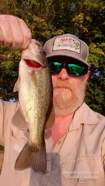 20240801_220033.jpg.246a3f6c97c643d51ed4187464531ba9.jpg