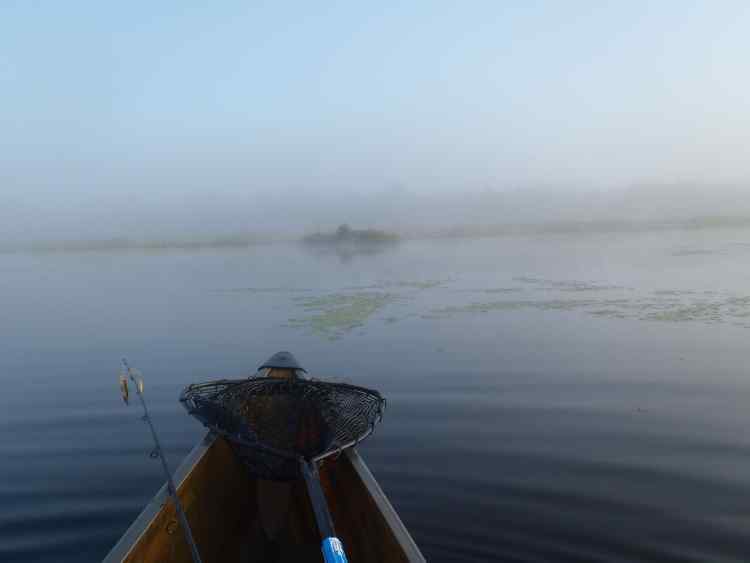Fog.jpg.68664a0932e5b20037b39edfce289449.jpg