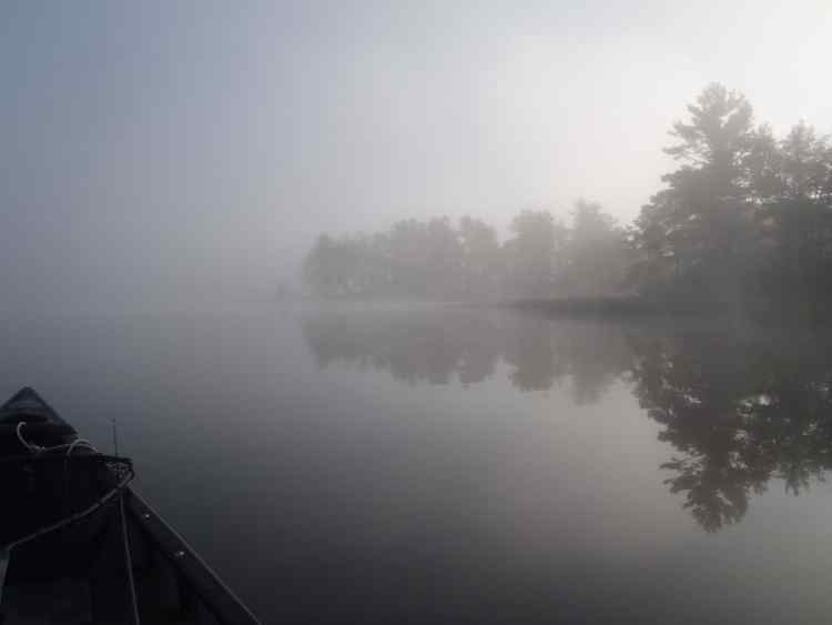 Fog.jpg.6c71370b0781c3f67c74944ec63555df.jpg