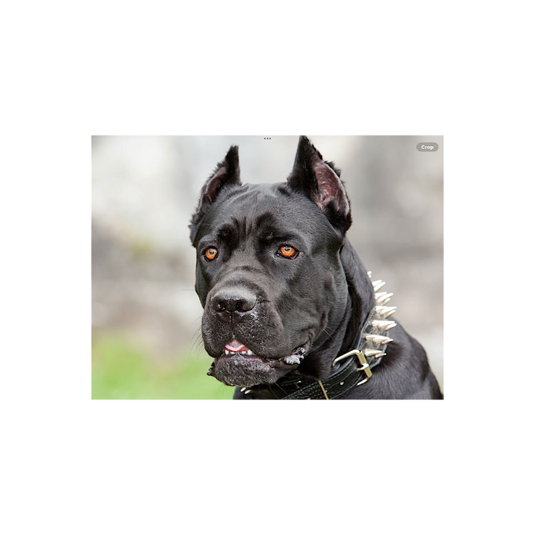 IMG_2024-08-30-152328.png.11caae910fc6cdeff24fb90be06a2207.png