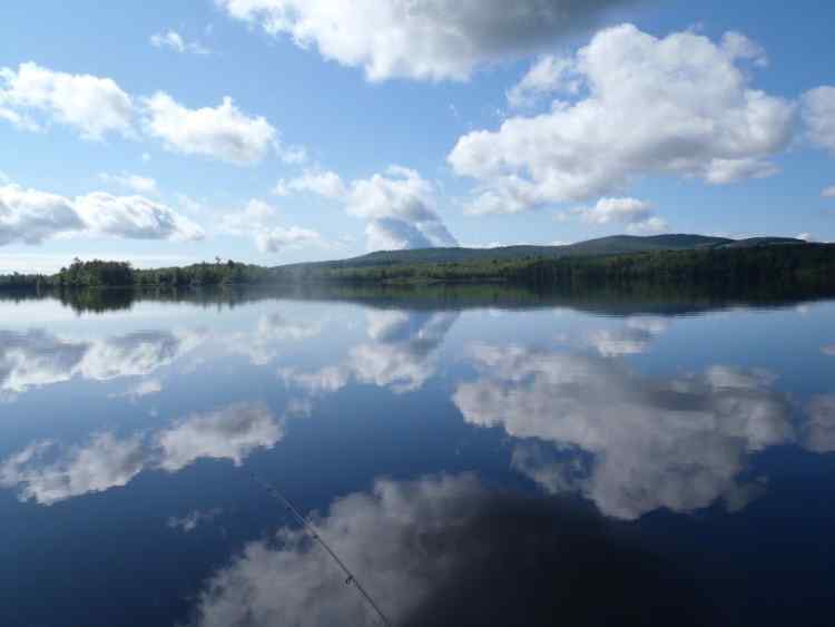 OpenWater.jpg.a4001b2e5cd8a1ab9a41ff3a0e4d5df0.jpg
