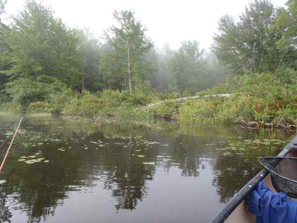 Shoreline.jpg.9e33eae2200947d501355eb7ead1ff99.jpg
