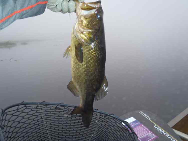 m.jpg.4607ca5ce149a316dbf76d6d31c36e8f.jpg