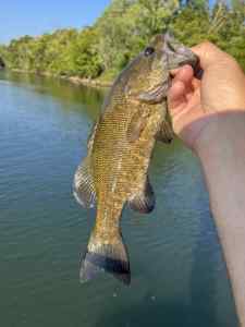 IMG_7954.jpeg