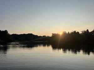IMG_7956.jpeg