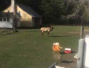 IMG_8094.jpeg