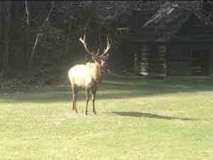 IMG_8095.jpeg