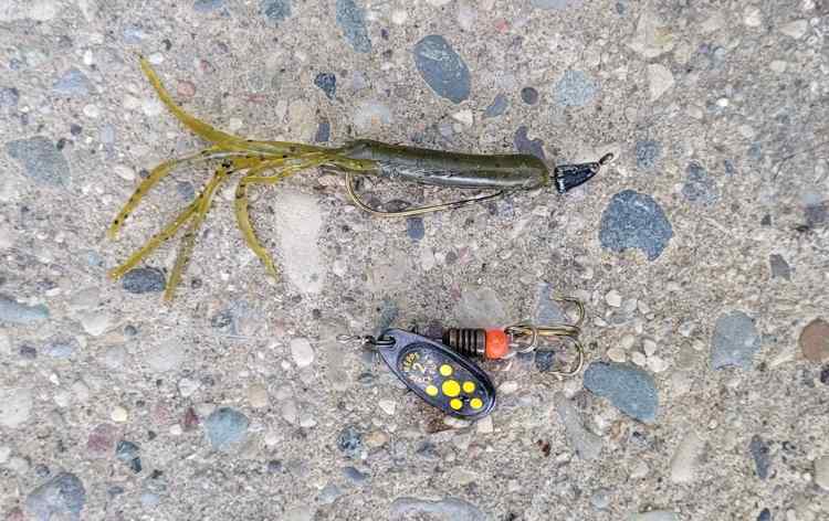 20240920_Lures.jpg.bd2c9c65e362566b0fe18ca9b6d446ed.jpg