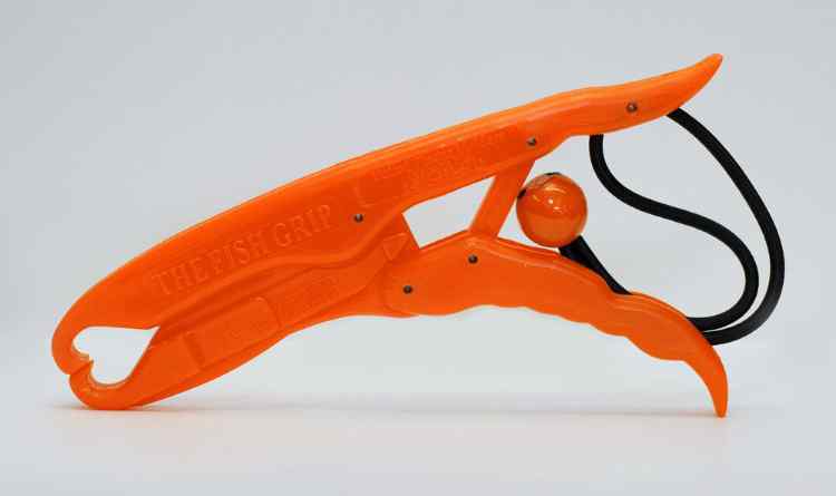 FG_orange__79918.jpg.b23984db8fe36065f4669a4cefb4e264.jpg