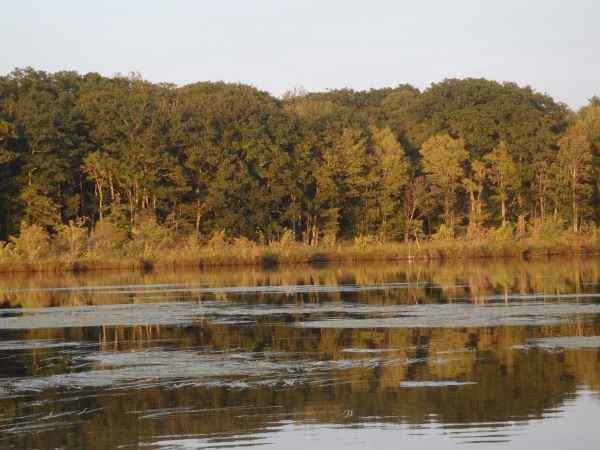 Fall.jpg.7758c5253375bdb269dcd5cca52c7d90.jpg