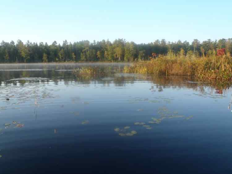 Pond.jpg.229b411f69fcbbb1514f38ff9d726cdf.jpg