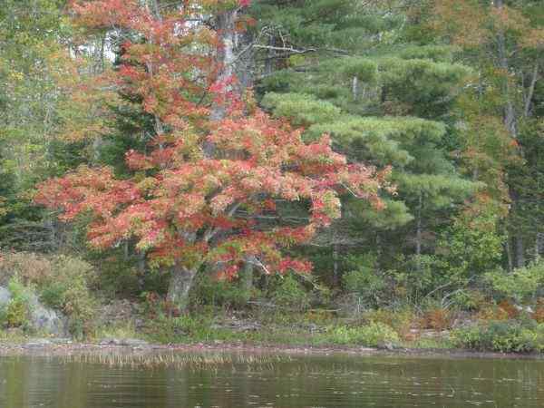 Pretty.jpg.60eac057d3c836d4d22ad8f3fcb6bc90.jpg