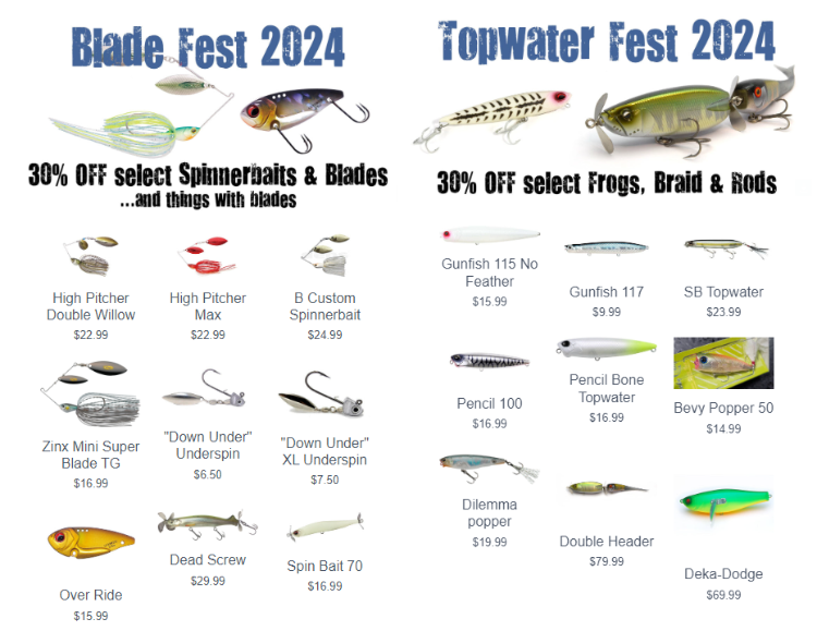 fests.png.aa64b5dd8179415289b9ed881db20762.png