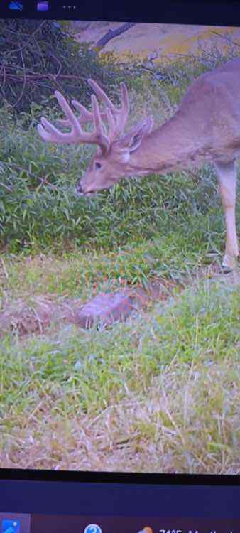 image000002.jpeg.c37a9082a428fe5e2f08a6f42dcffc6e.jpeg