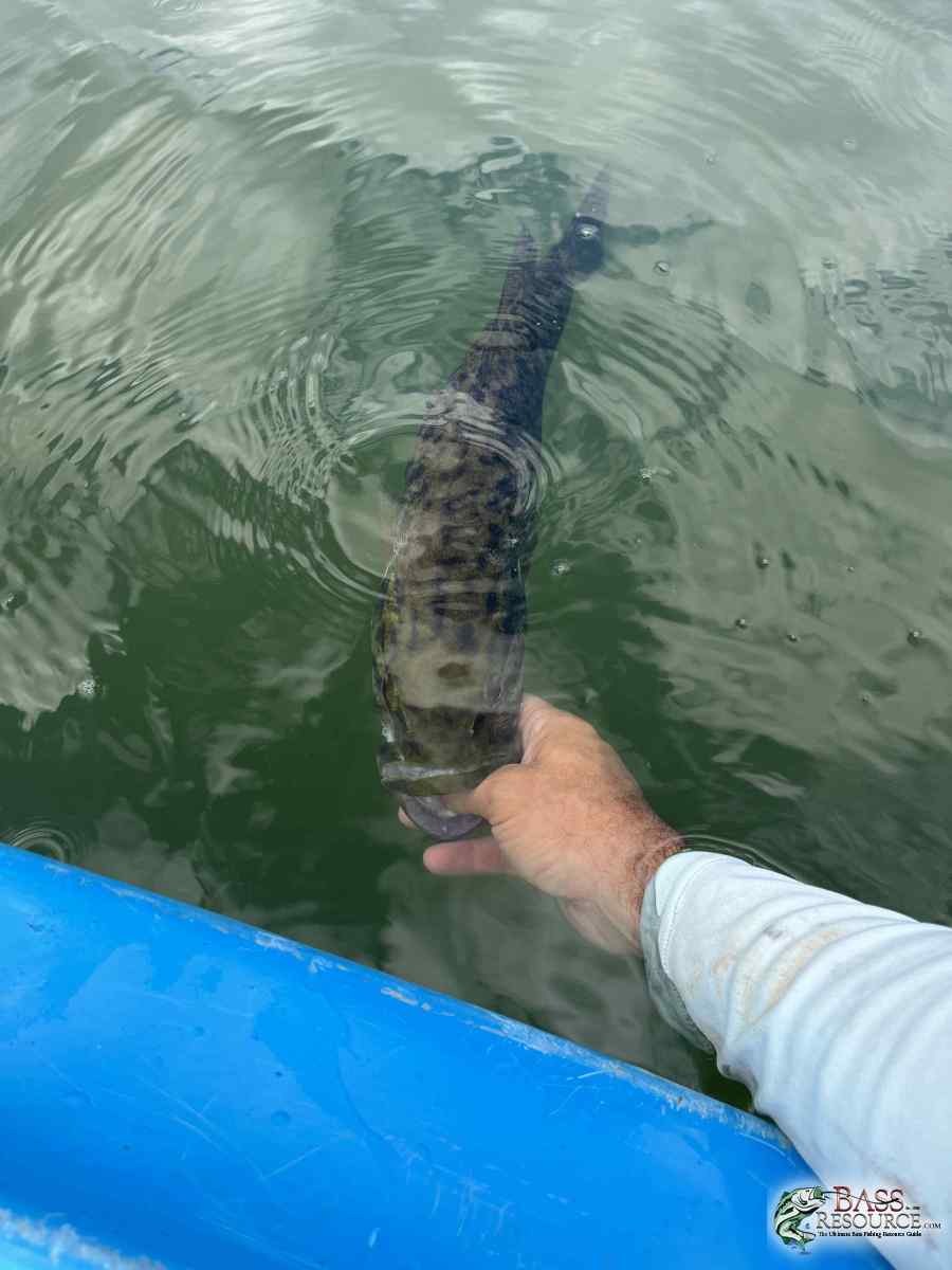 large.IMG_8364.jpeg