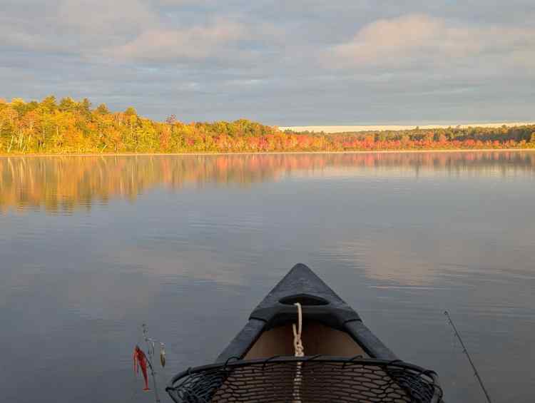 longshoreline.jpg.7d83d2f0adf39a7ecd7d73c25d132c51.jpg