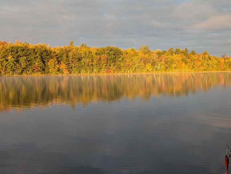 shortshoreline.jpg.e9ddfa9039b11587550c740b061df2f9.jpg