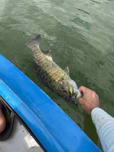 IMG_8359.jpeg