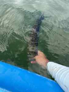 IMG_8364.jpeg
