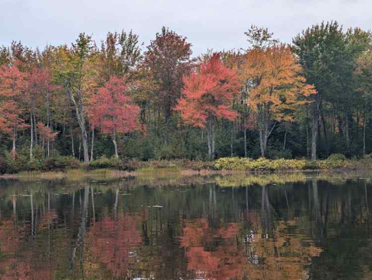 RedOrangeYellow.jpg.8e70d3eb37b649c7ae7b7e3ec546b382.jpg