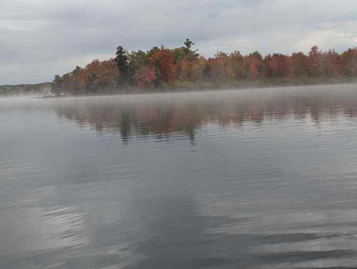 Shoreline.jpg.9a9d6c835781fbd80cb1c57137e7540f.jpg