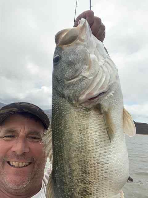 bass10.2poundJune192024.jpg.0c5dc96e1733fbd80918961c4859e7b2.jpg