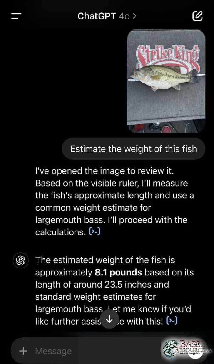large.D9F0340B-FFC7-47E3-82CF-2FD252141F55.jpeg.ce2d9d863d51e3ee29e6d482c6b722b3.jpeg