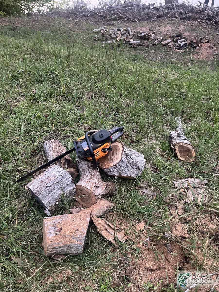 large.IMG_8722.jpeg