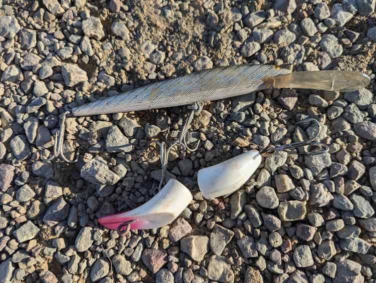 lures.jpg.87314ade7b849dd76e6033866692b259.jpg