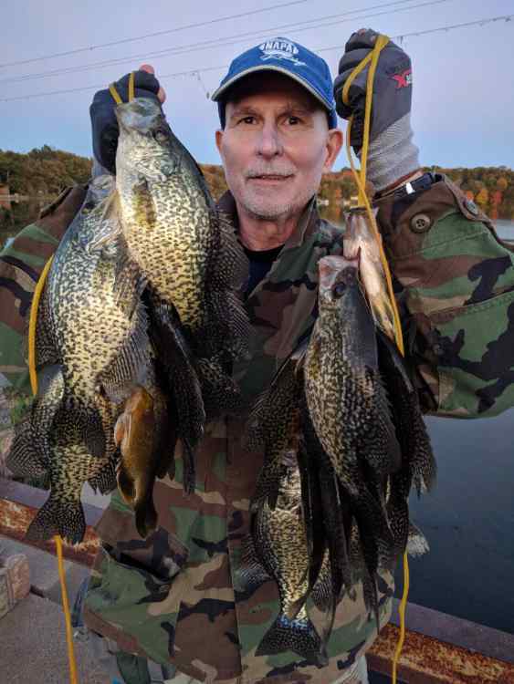 rsz_crappie_006.jpg.b01ae38b3983587f1c965daf0faad3c3.jpg